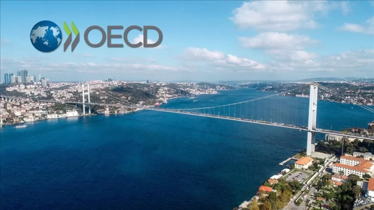 Türkiye'nin ekonomisi büyüyor! OECD açıkladı