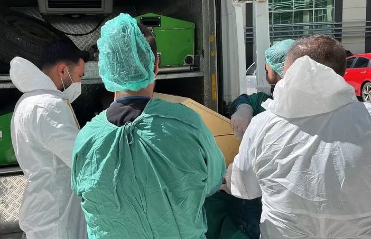 Yozgat’ta kene ısırması sonucu 72 yaşındaki kadın  hayatını kaybetti