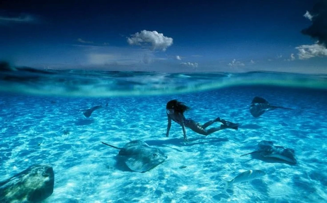 Son yüzyılın en korkutucu denizleri!