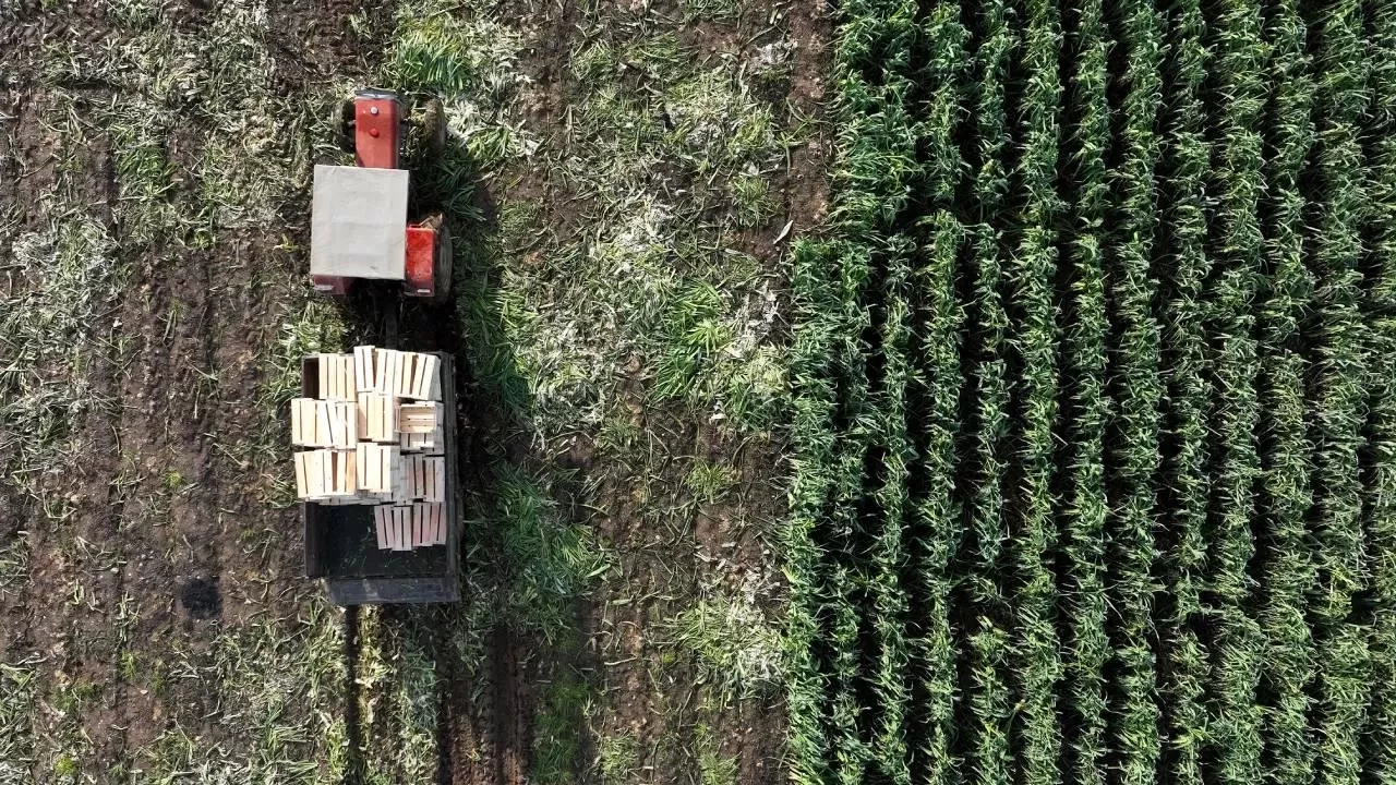 Yapay zeka destekli uydu takibi ile tarım alanlarının verimliliği artıyor