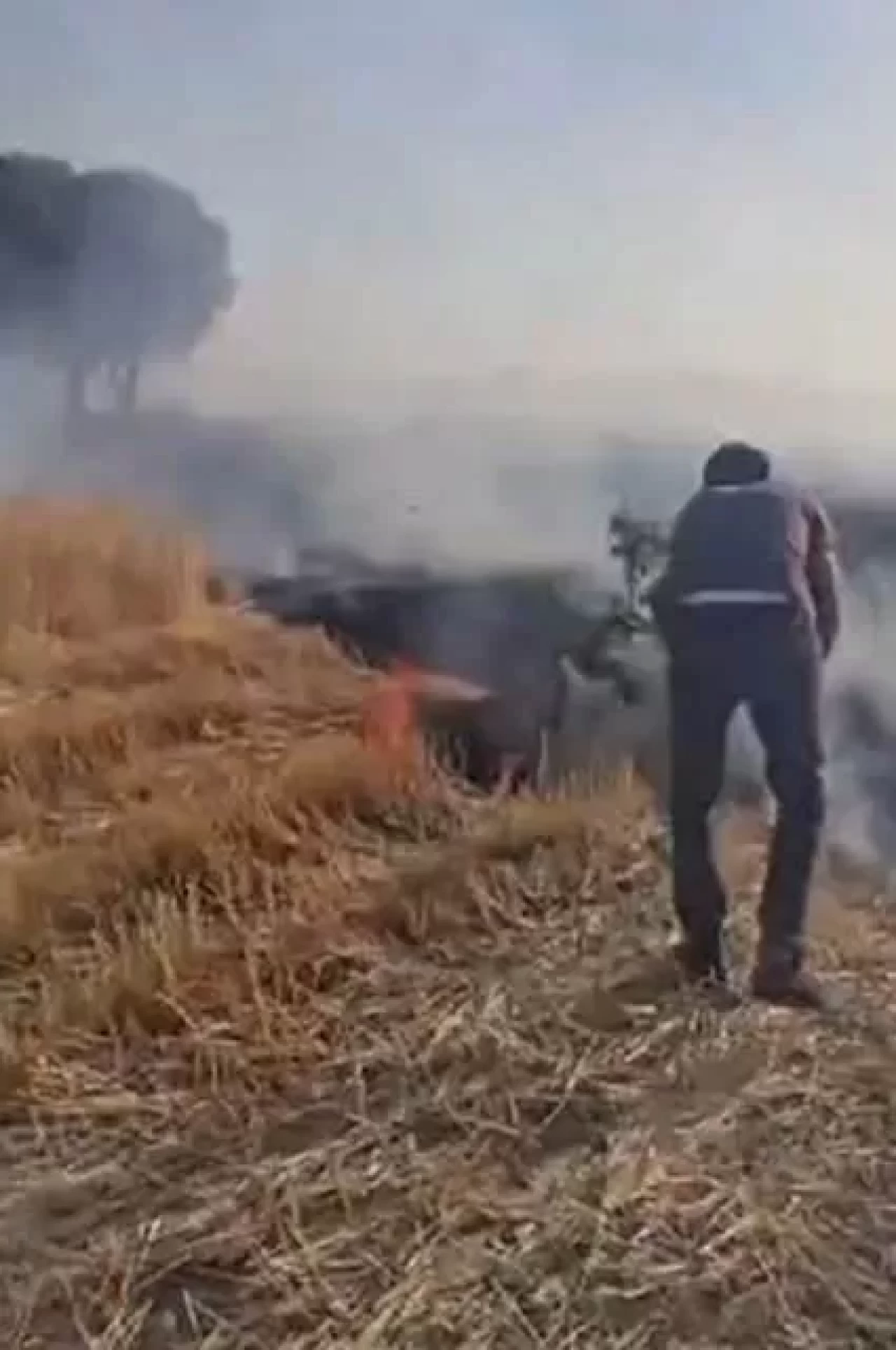 Diyarbakır'da korkutan yangın: 500 dönüm buğday ve anız küle döndü