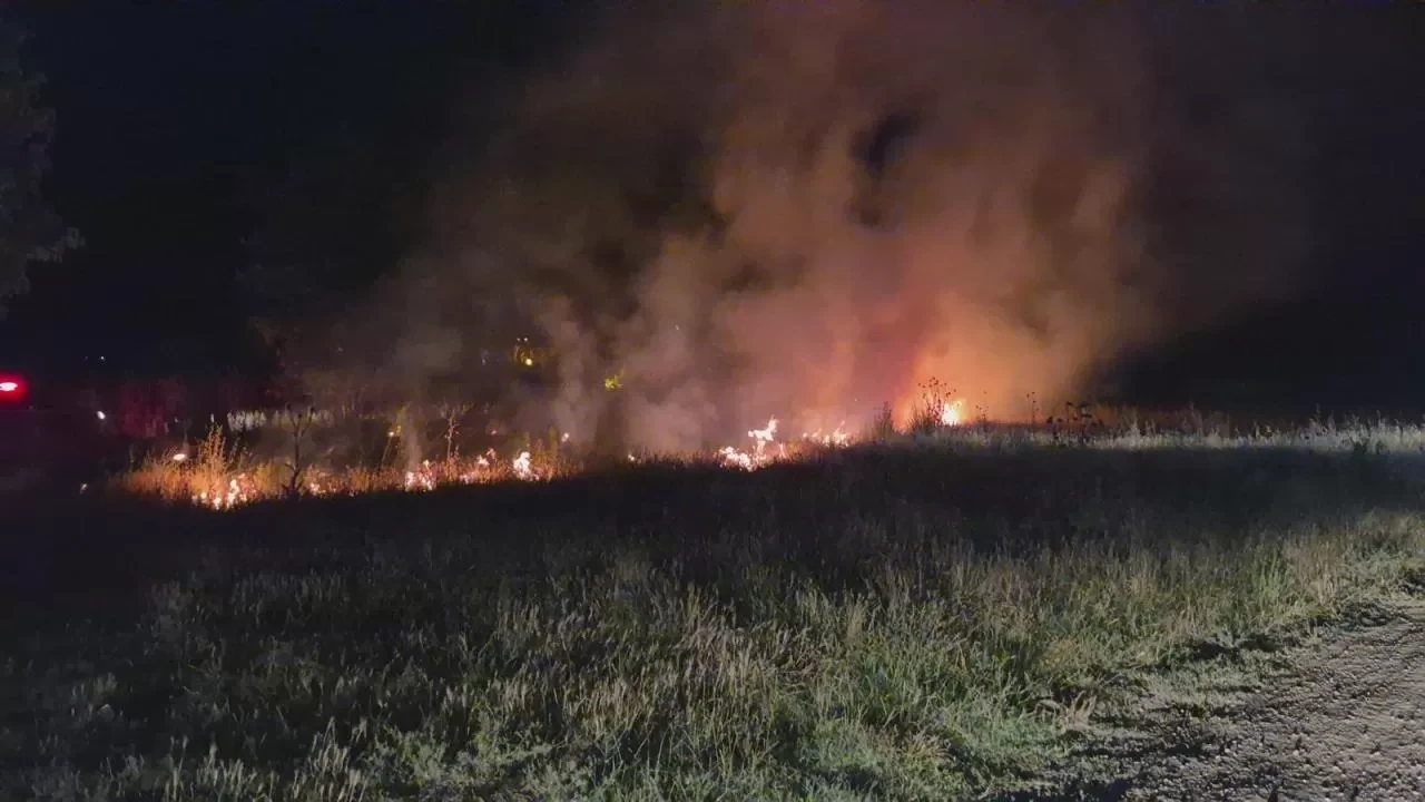 Trakya'daki yangınlarda 2 bin 750 dekar ekili alan zarar gördü