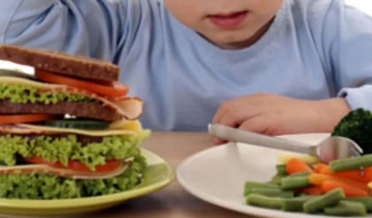 0-3 yaş arası çocuklarda vegan beslenmede dikkat edilmesi gerekenler