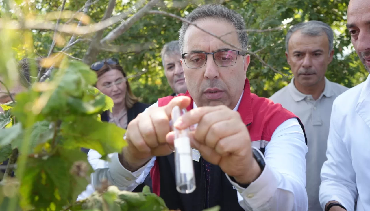 Kahverengi kokarcaya karşı 15 bin samuray arıcığı ve 300 sülün doğaya salındı