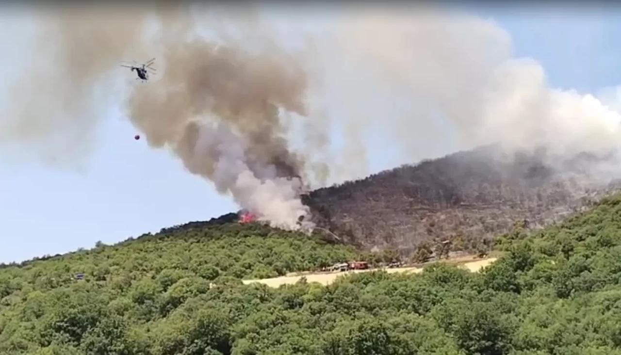 Bursa'da orman yangını: Ekipler bölgeye müdahale ediyor