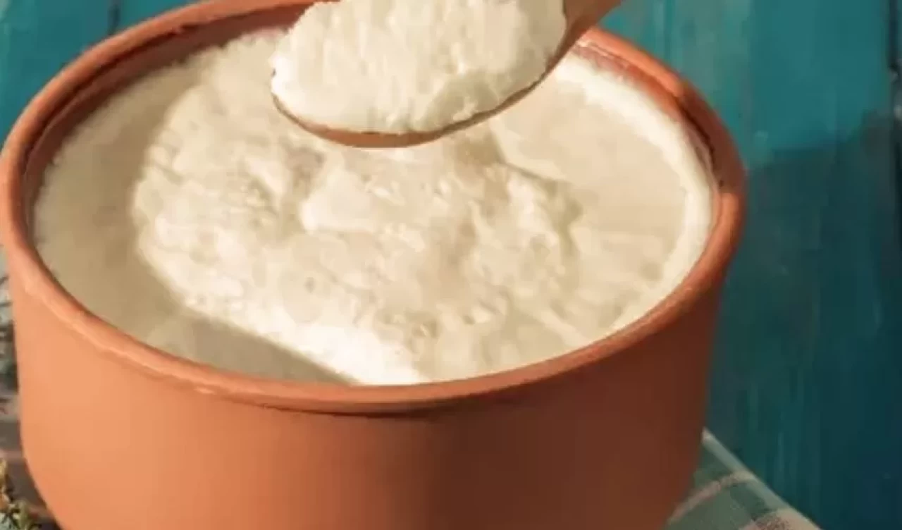 Buzlukta yoğurt mayası saklanır mı?