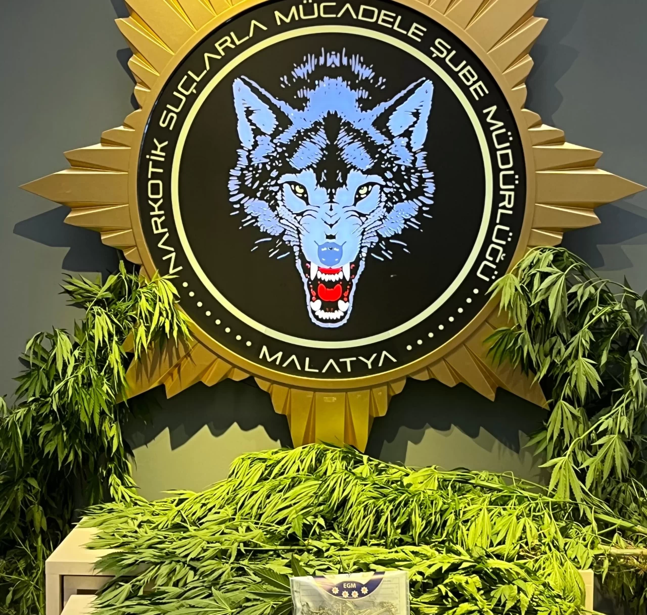 Malatya’da uyuşturucu operasyonu: 9 gözaltı 8 tutuklama gerçekleşti