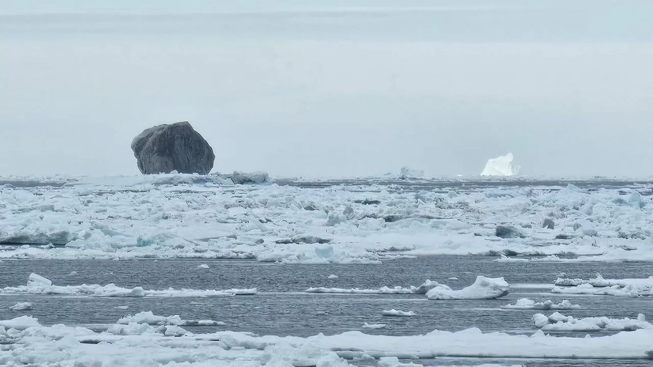 Alışılmışın dışında.... Nadir görülen siyah buzdağı şaşkına çevirdi