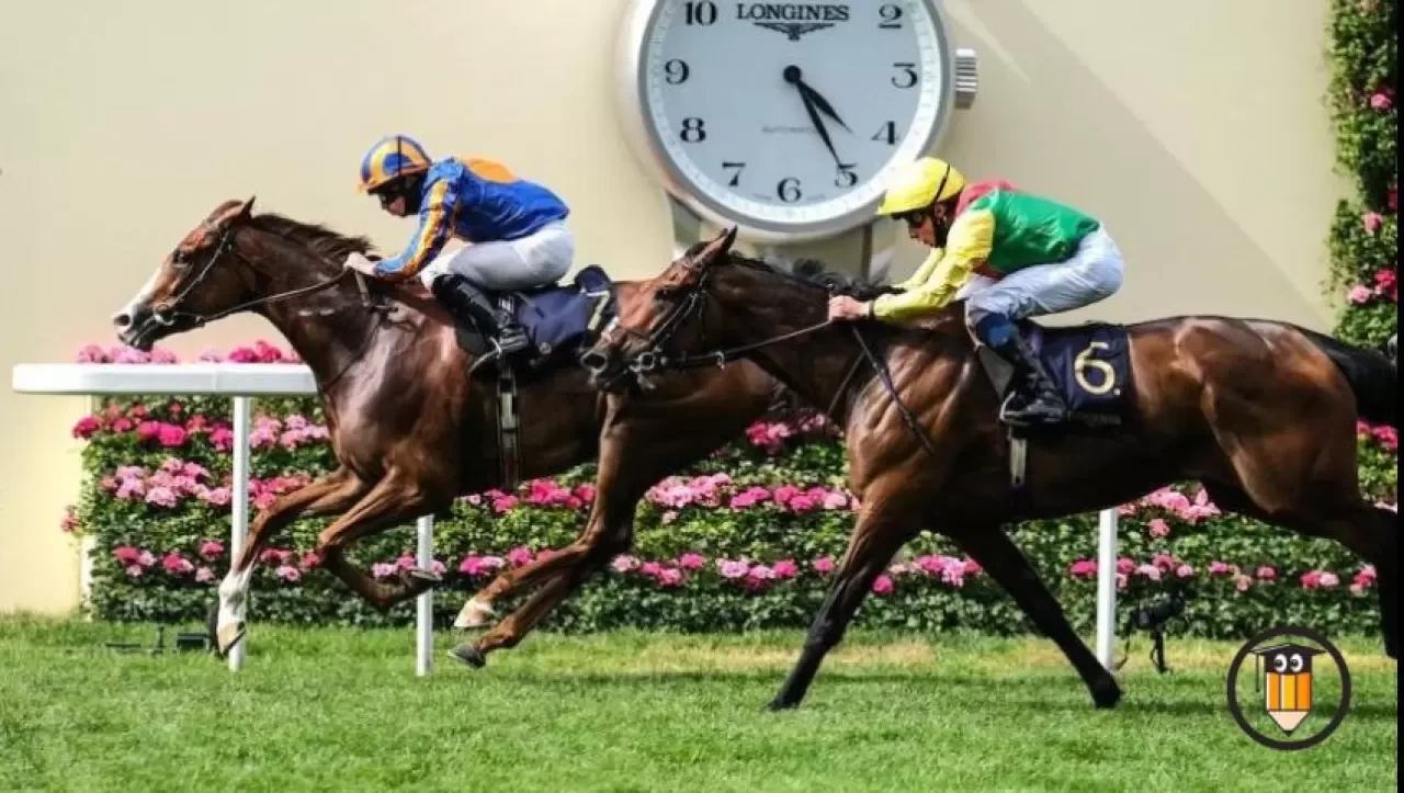 Jokey Nasıl Olunur? Jokey Olma Şartları Nelerdir?