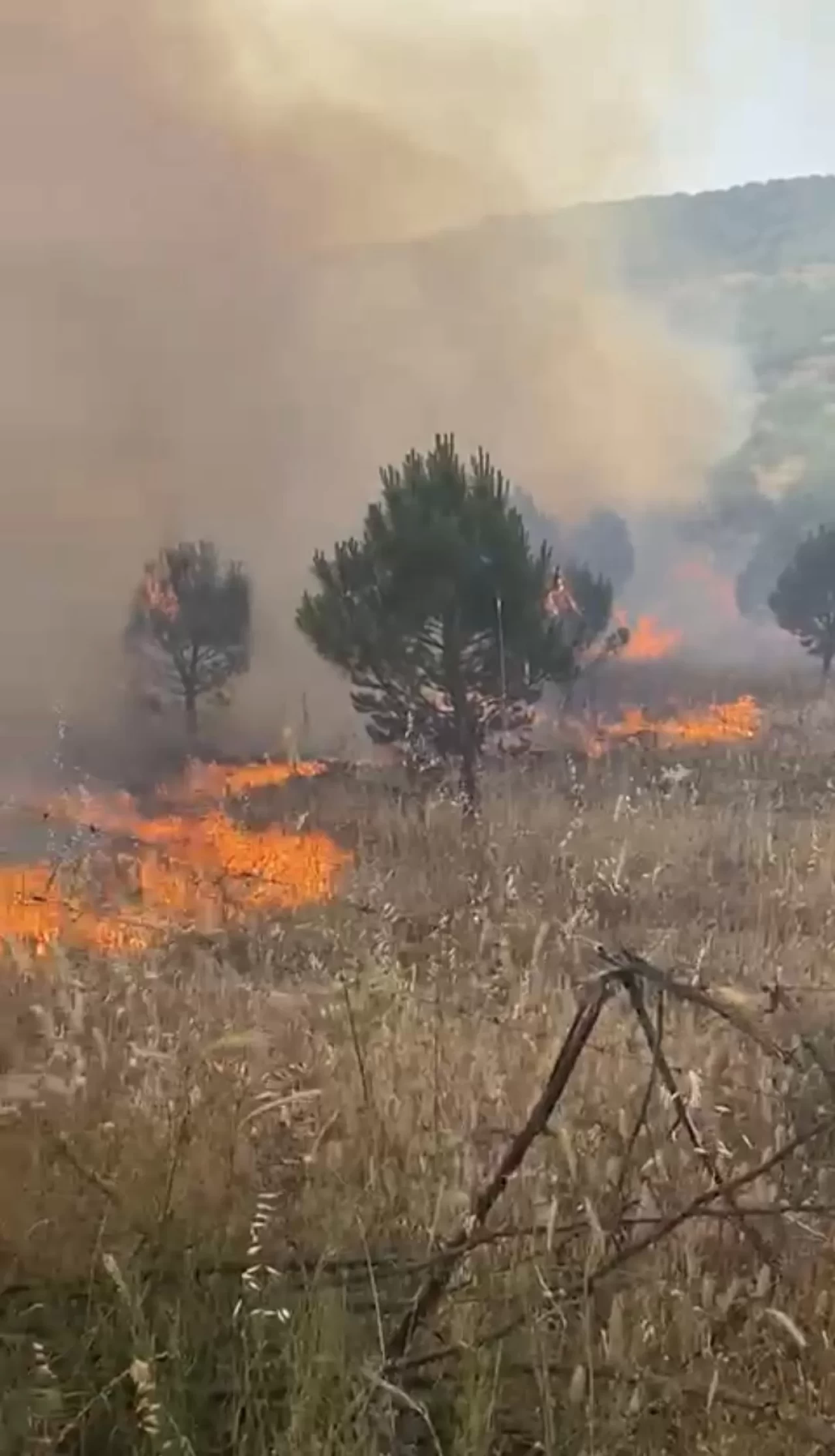 Balıkesir'de meralık alanda yangın