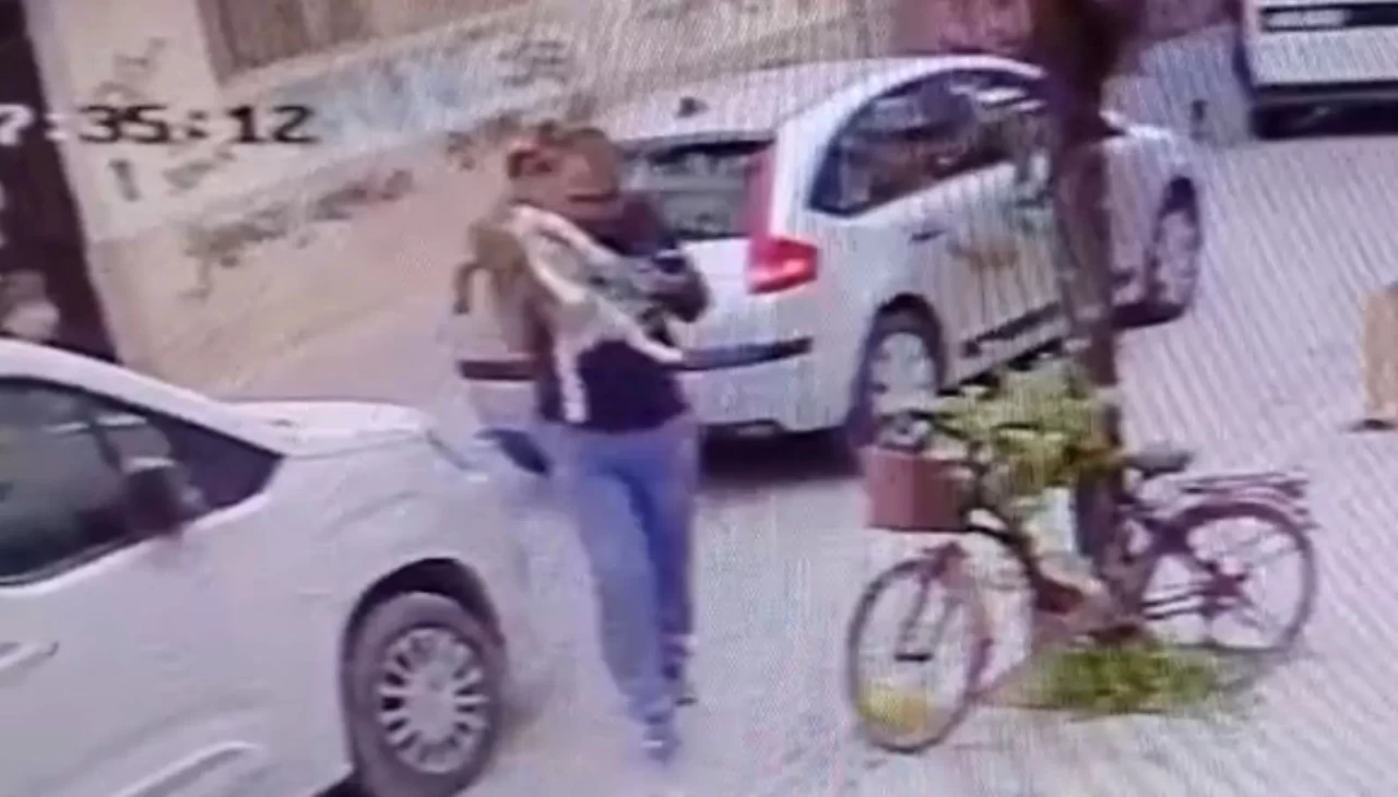 Köpeği yere çarpan şahsa ev hapsi!