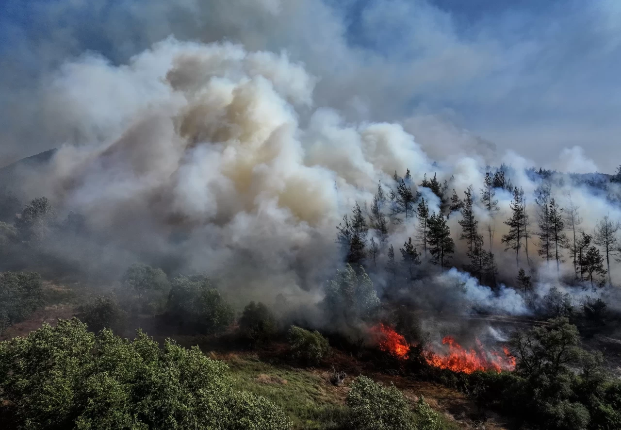 Bursa'da korkutan yangın! Ormanlık alana sıçrayan alevlere havadan ve karadan müdahale ediliyor