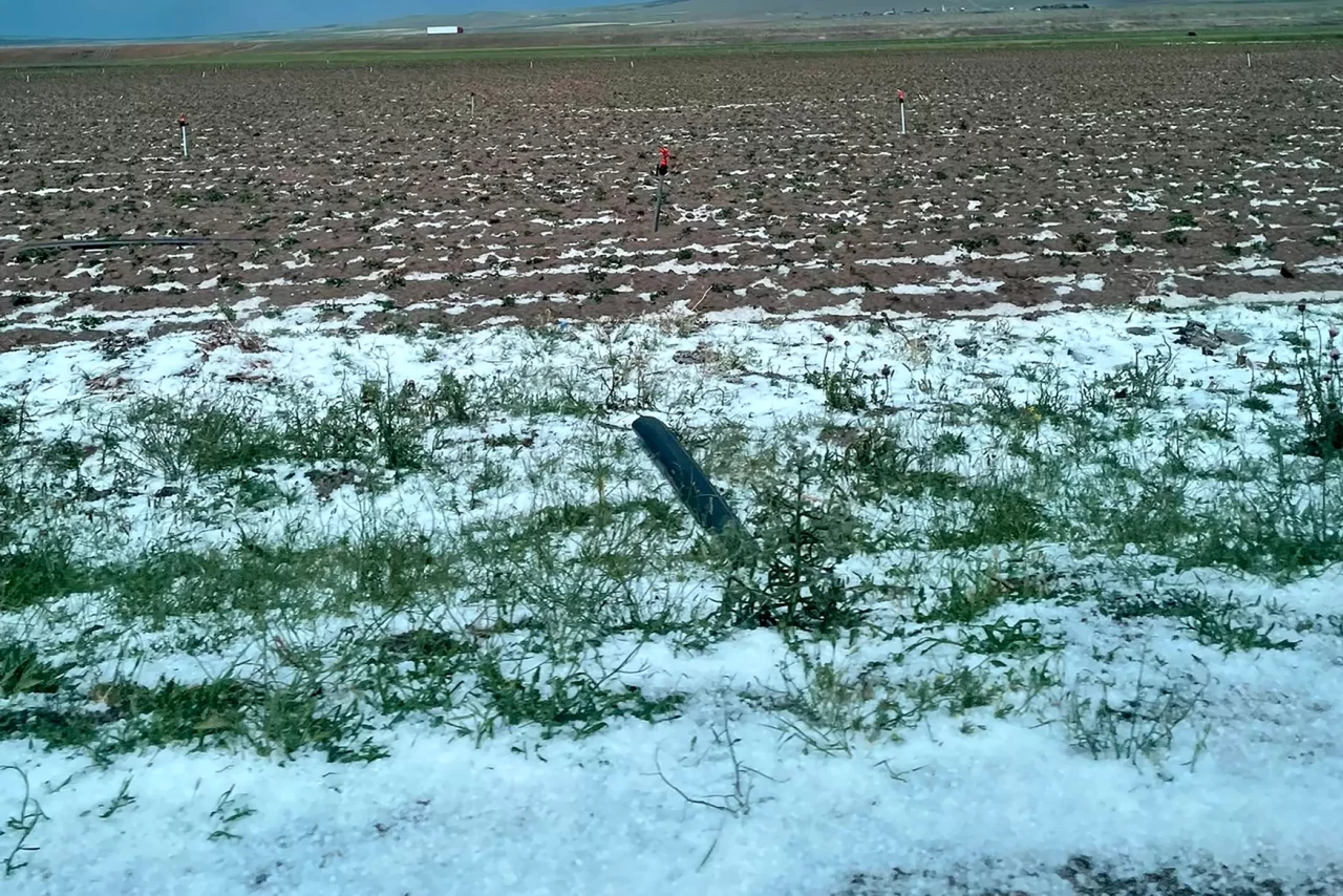 Dolu Aksaray'ı vurdu: Tarım arazileri zarar gördü