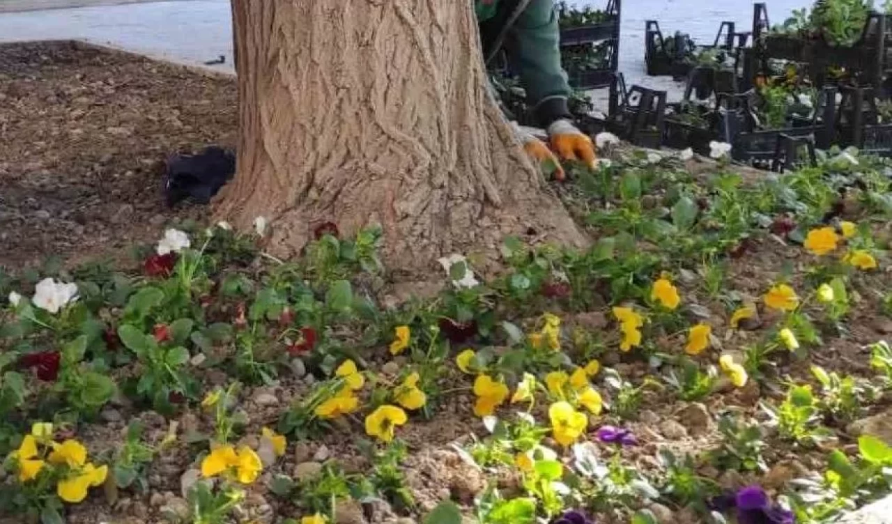 Bahçenizi güzelleştirecek kolay tasarım fikirleri