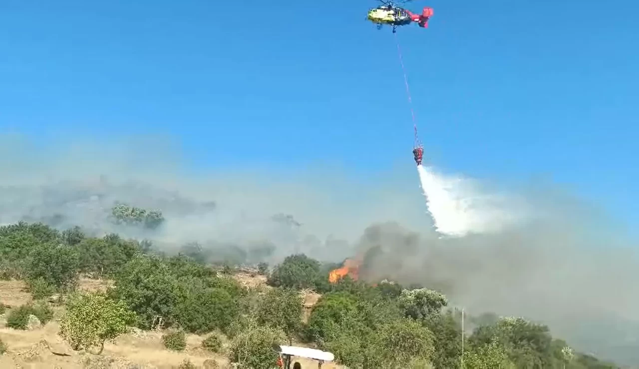 Aydın’da makilik alandaki yangın kontrol altına alındı