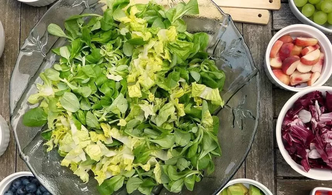 Lakto vejetaryenlik nedir?