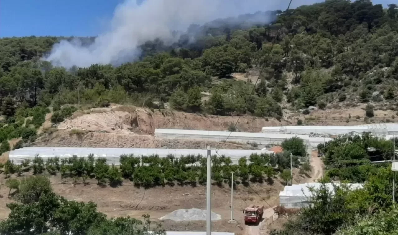 Antalya'da çıkan orman yangınına müdahale ediliyor