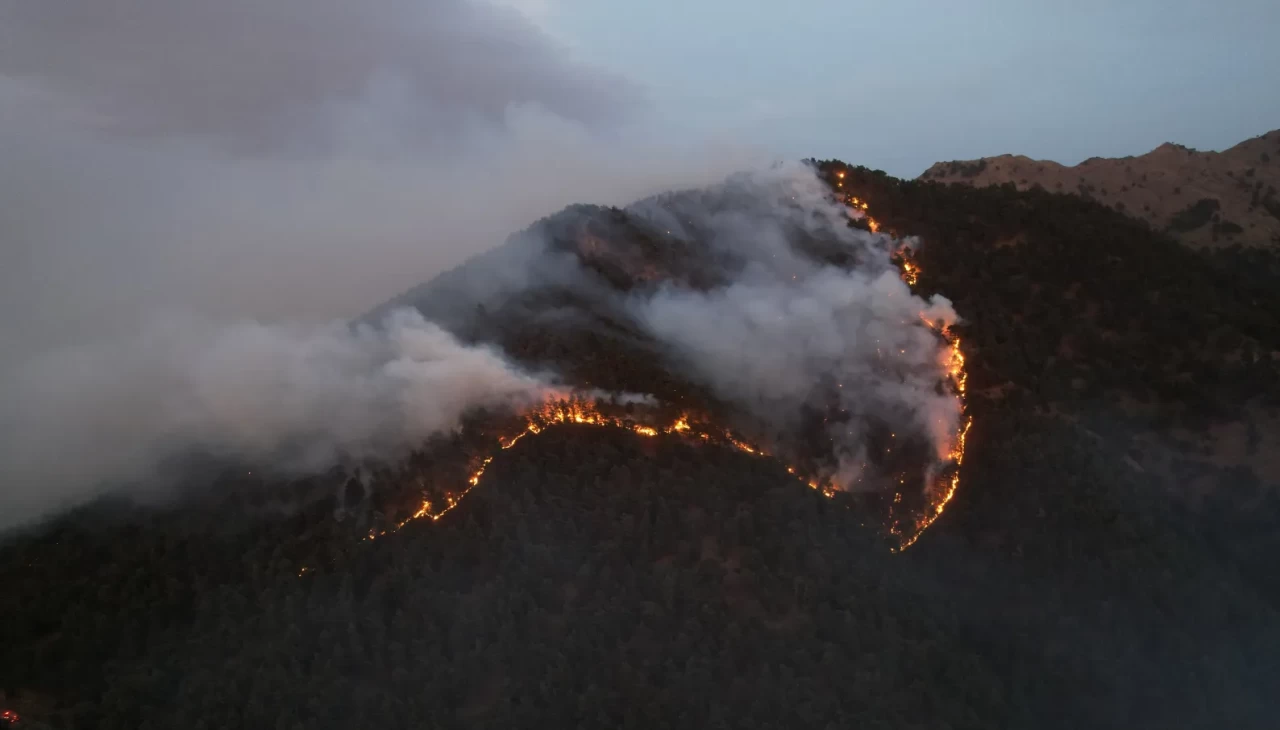 Rüzgara karşı mücadele veren ateş savaşçıları 500 hektar ormanı yanmaktan kurtardı