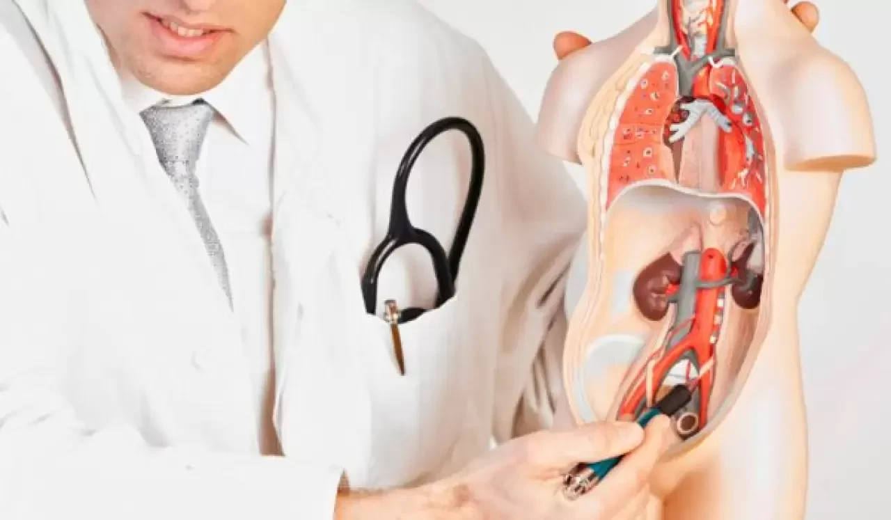 Ürolog Nasıl Olunur? Ürolog Olma Şartları Nelerdir?