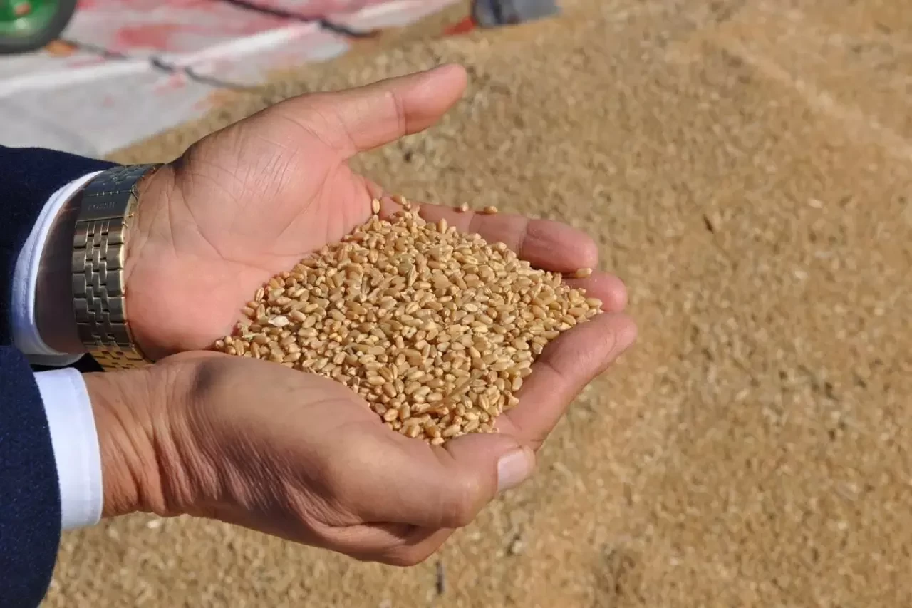 Zahireci Nasıl Olunur? Zahireci Olma Şartları Nelerdir?