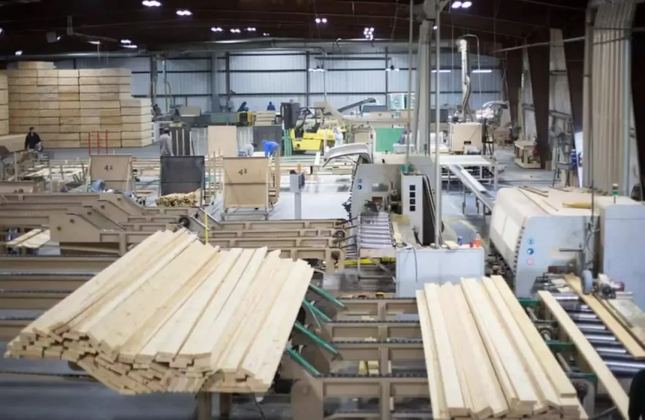 Ağaç İşleri Endüstri Mühendisliği Bölümü Nedir? Mezunları Ne İş Yapar? İş İmkanları Nelerdir?