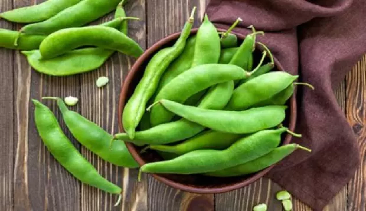 Taze fasulye nasıl temizlenir?