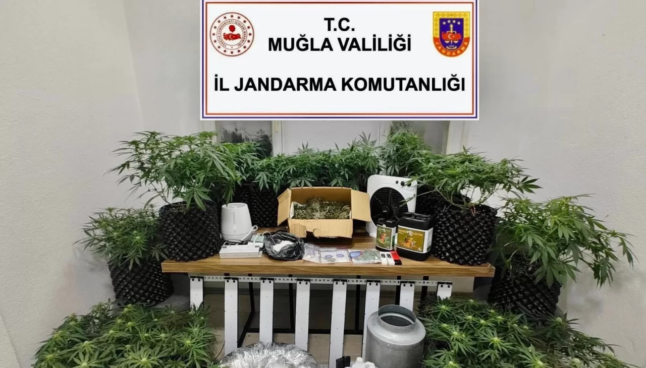 Bodrum'da uyuşturucu baskını: 2 gözaltı