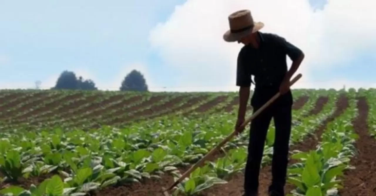 Çiftçi Nasıl Olunur? Çiftçi Olma Şartları Nelerdir?