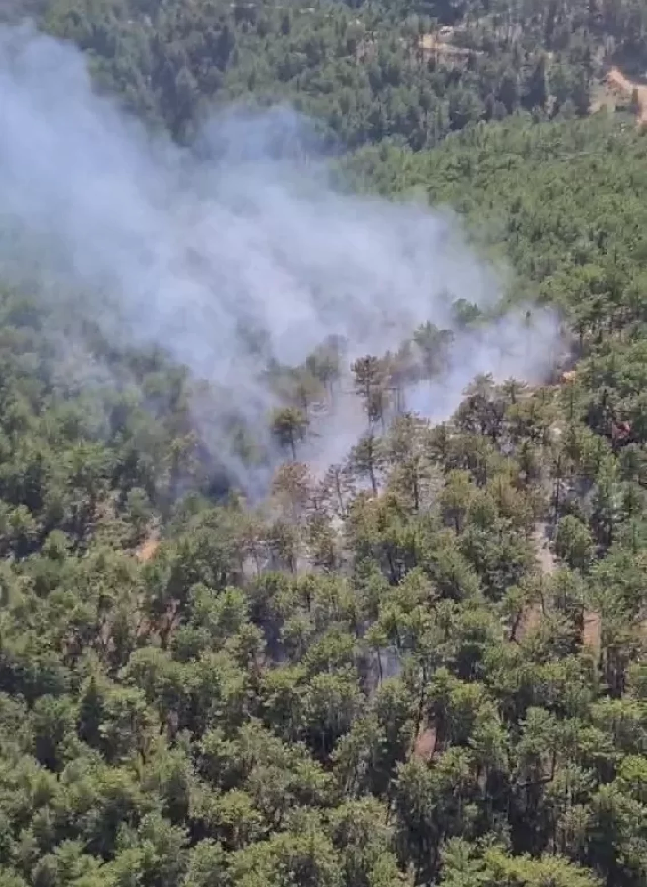 Denizli'de orman yangını: Havadan ve karadan müdahale sürüyor