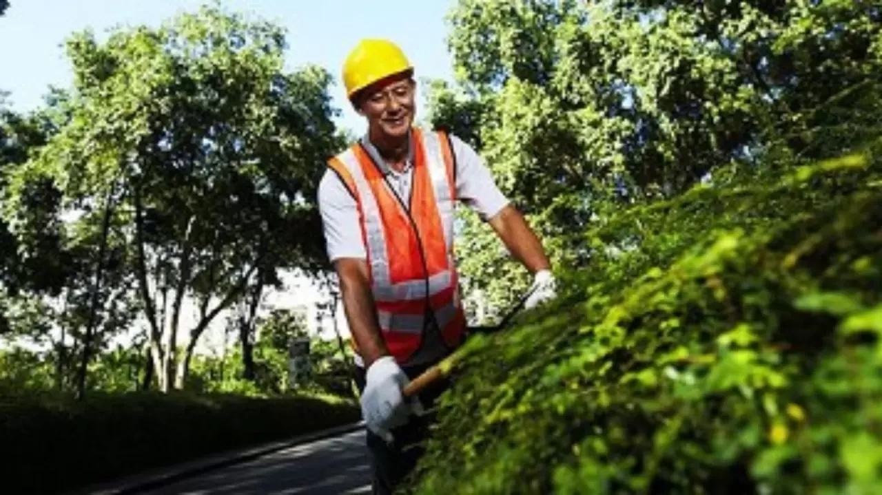 Peyzaj Mimarı Nasıl Olunur? Peyzaj Mimarı Olma Şartları Nelerdir?