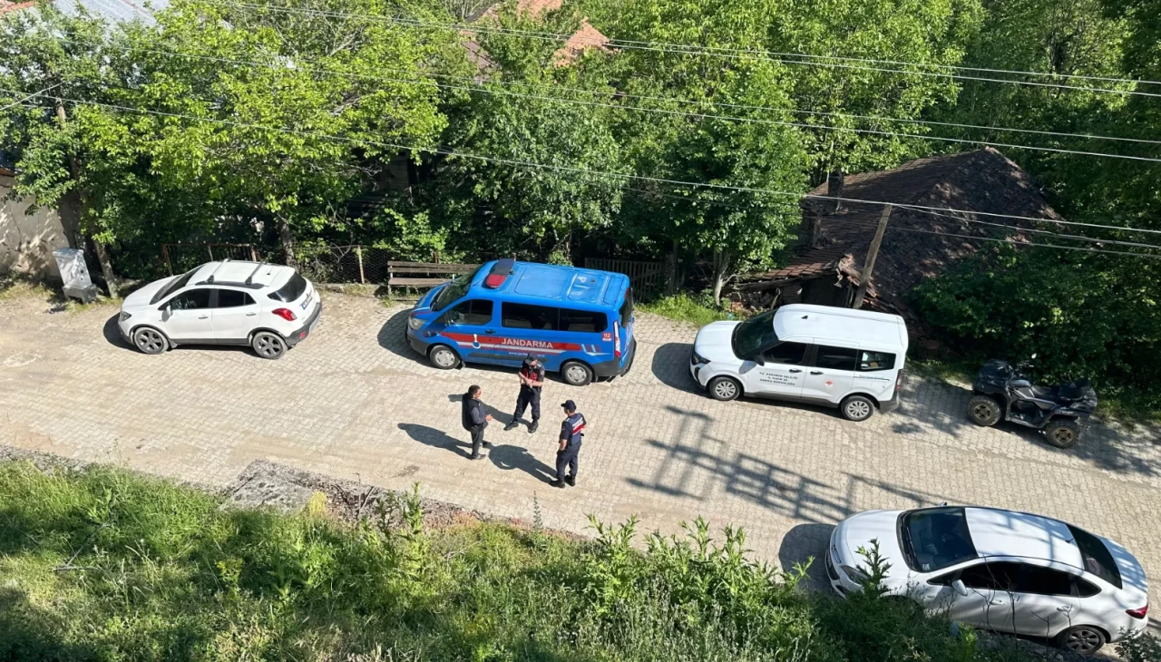 Karabük’te köpek katliamı! Jandarma harekete geçti