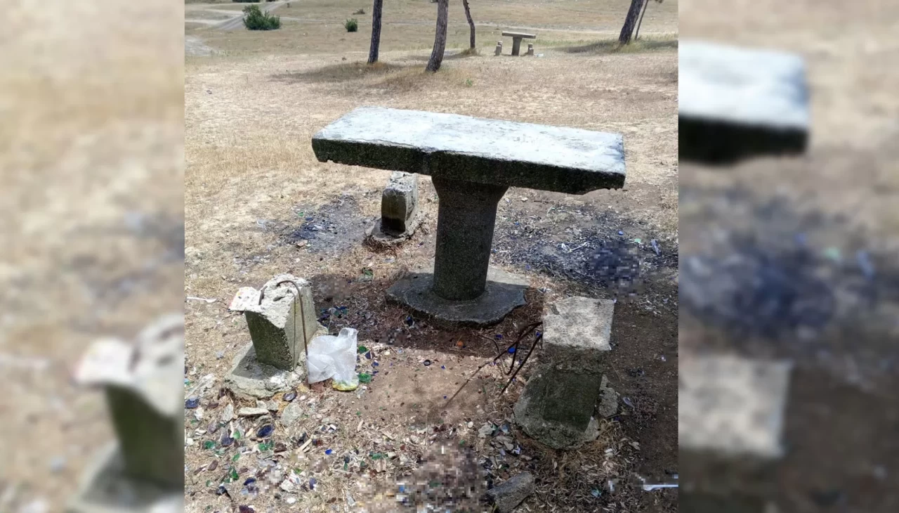 Mesire alanındaki oturma alanlarına zarar verdiler