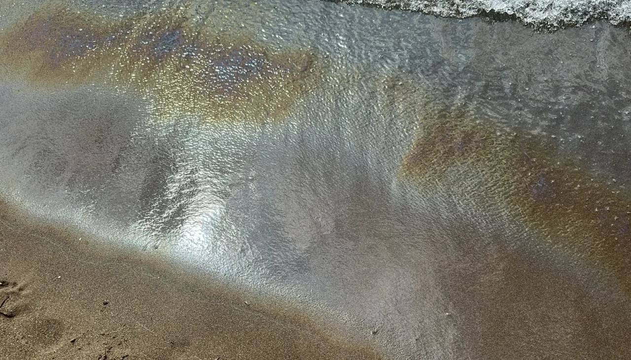 Tatilcileri şoke eden görüntü! Vatandaşlar tahliye edildi