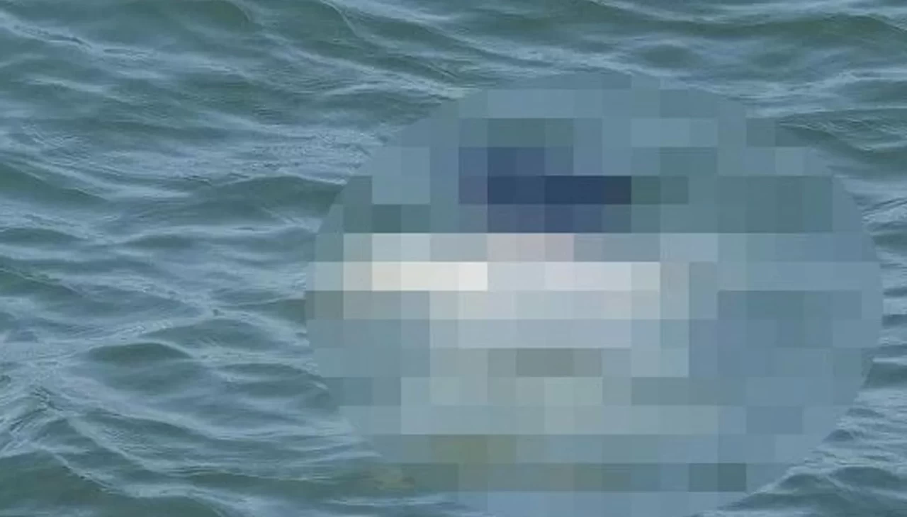 Kuşadası sahilinde şok! Denizde erkek cesedi bulundu