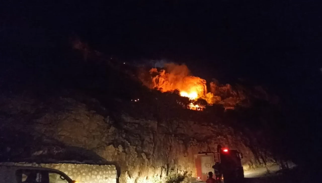 Mardin Kalesi eteklerinde yangın paniği! Söndürme çalışmaları devam ediyor