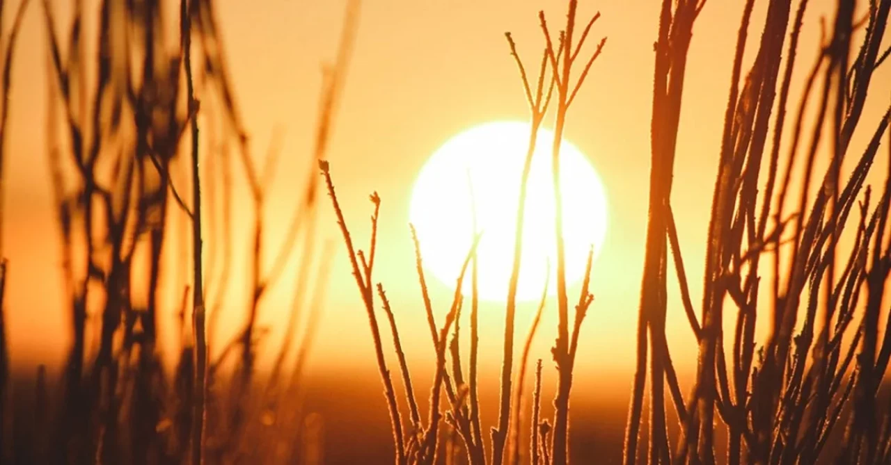 Sabah güneşi ne işe yarar? Melatonin ve D vitamini ilişkisi