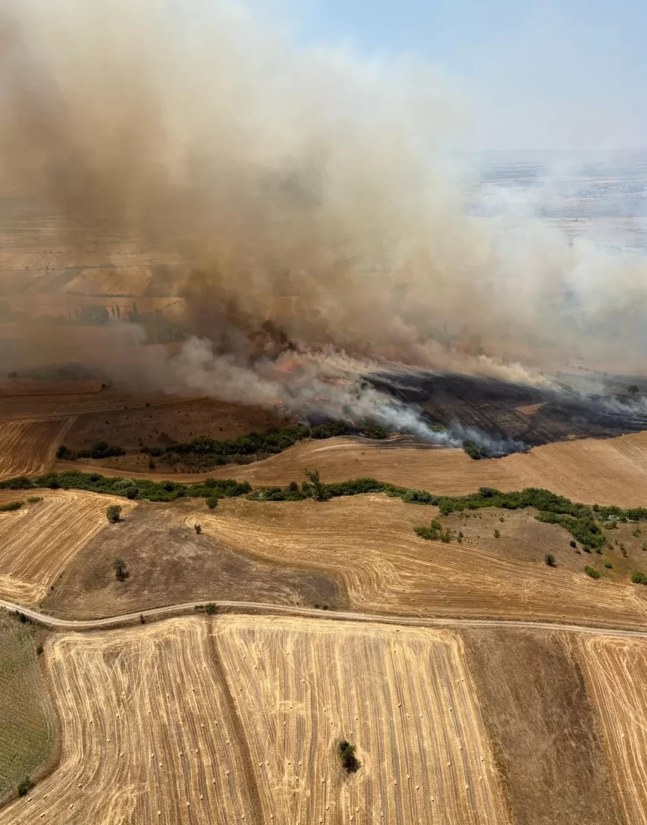 Balıkesir'in Kepsut ilçesindeki orman yangınında 5 kişi gözaltında