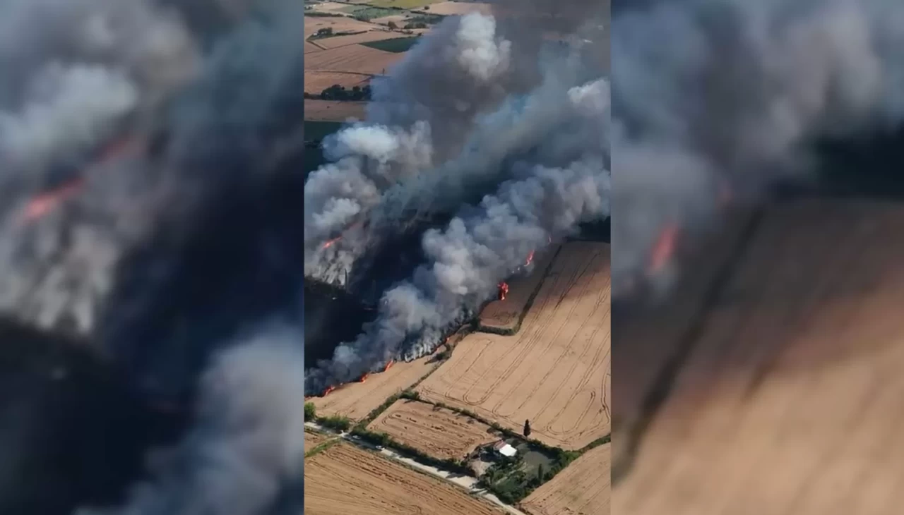 Çanakkale’de tarım arazisinde yangın
