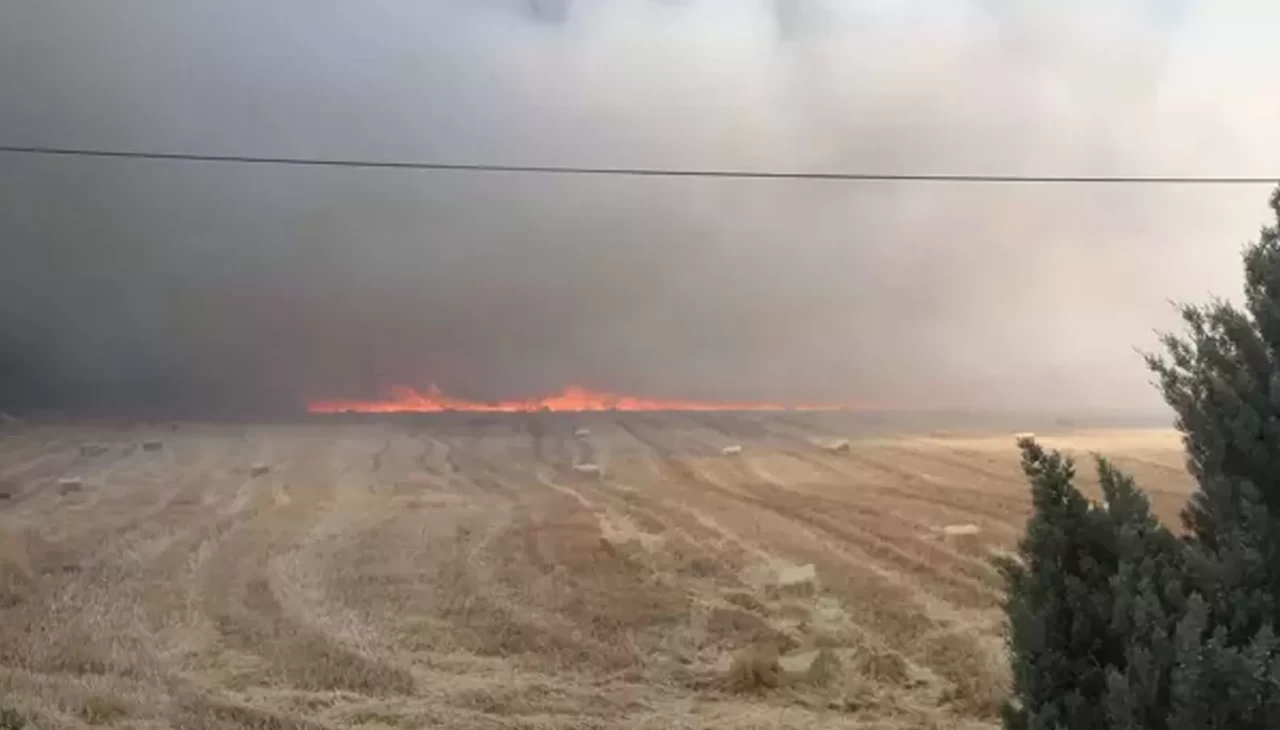 Manisa'da tarım arazisinde çıkan yangın 2 saatte kontrol altına alındı