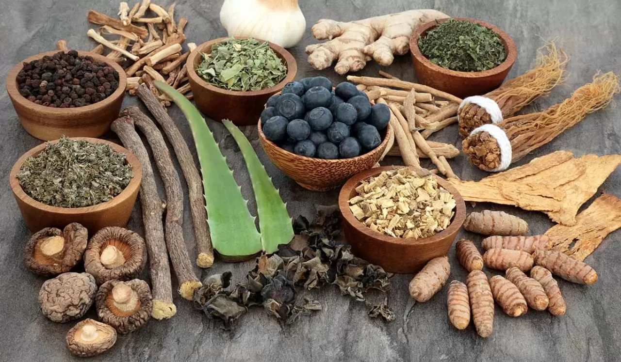 Adaptogen bitkiler nedir, ne işe yarar?