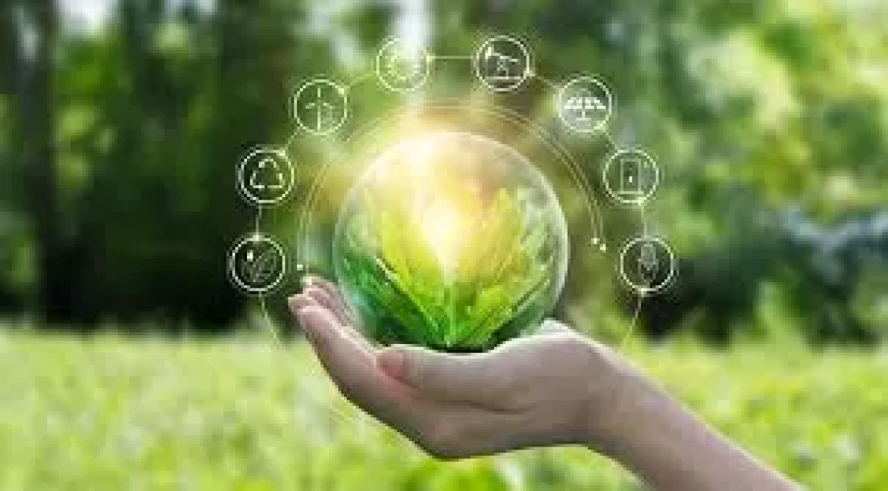 Çevre Mühendisliği Bölümü Nedir? Mezunları Ne İş Yapar ve Nerelerde Çalışır?