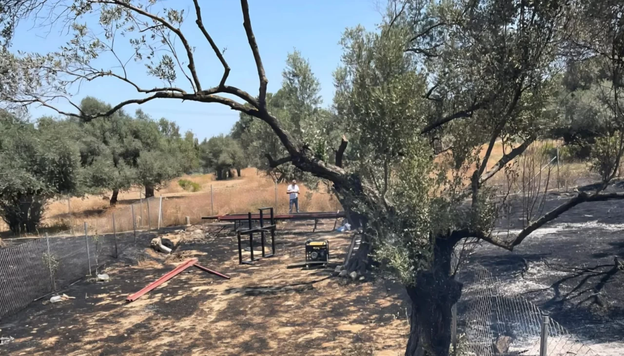 İzmir Foça’daki yangın korkuttu! Alevler evlerin bahçelerine sıçradı