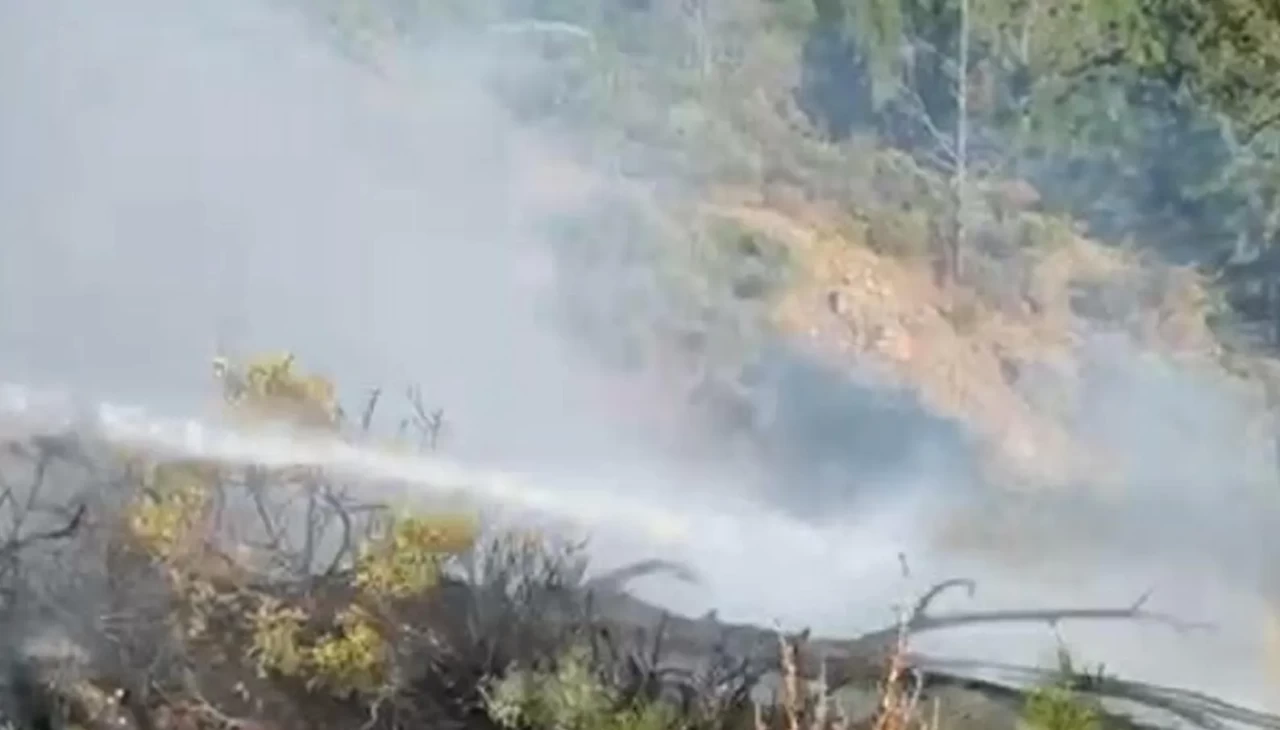 Muğla ve Aydın’da 3 ayrı orman yangını söndürüldü