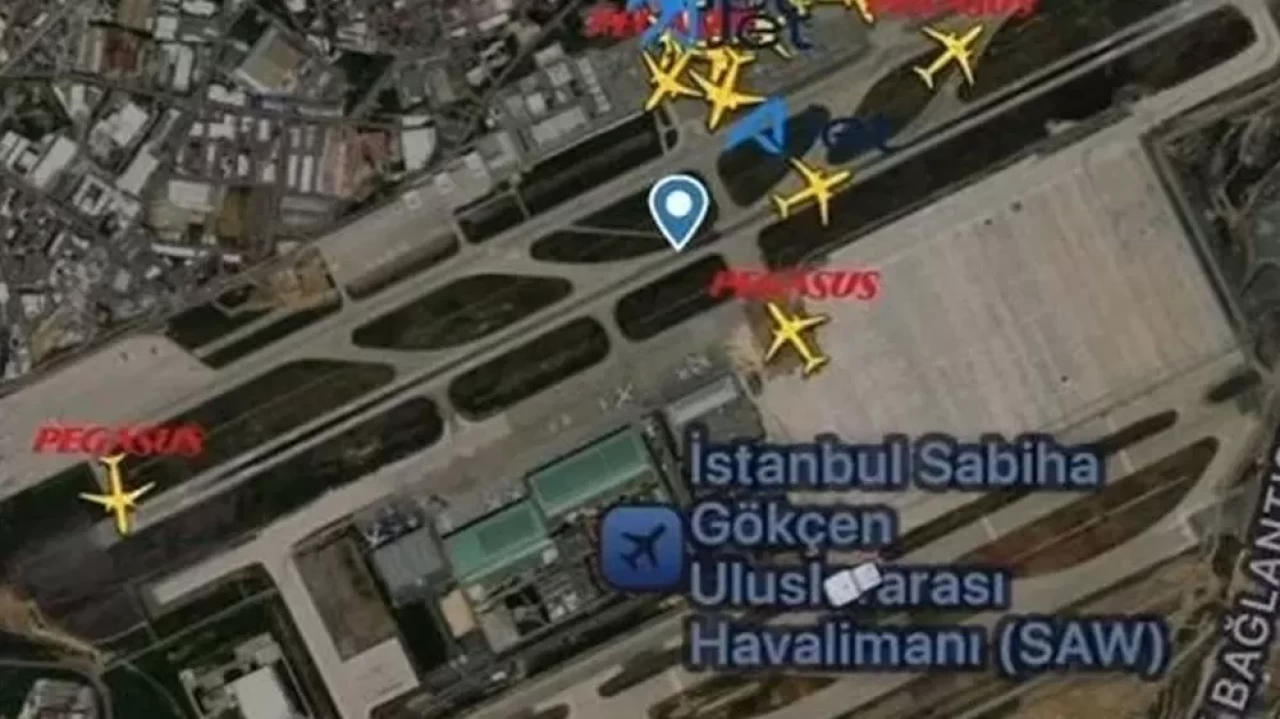 Sabiha Gökçen pistinde tavşan paniği