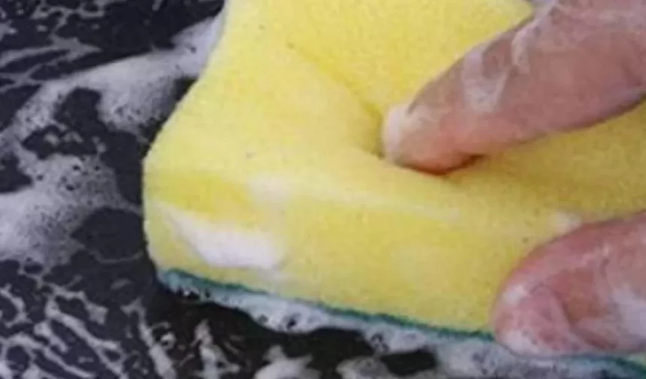 Mikrodalgada sünger temizliği! Bakterilere son veren yöntem