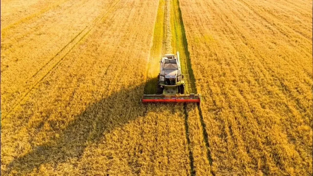 TÜİK verileri açıkladı! Tarımsal girdi fiyatları yıl içinde %30,12 arttı