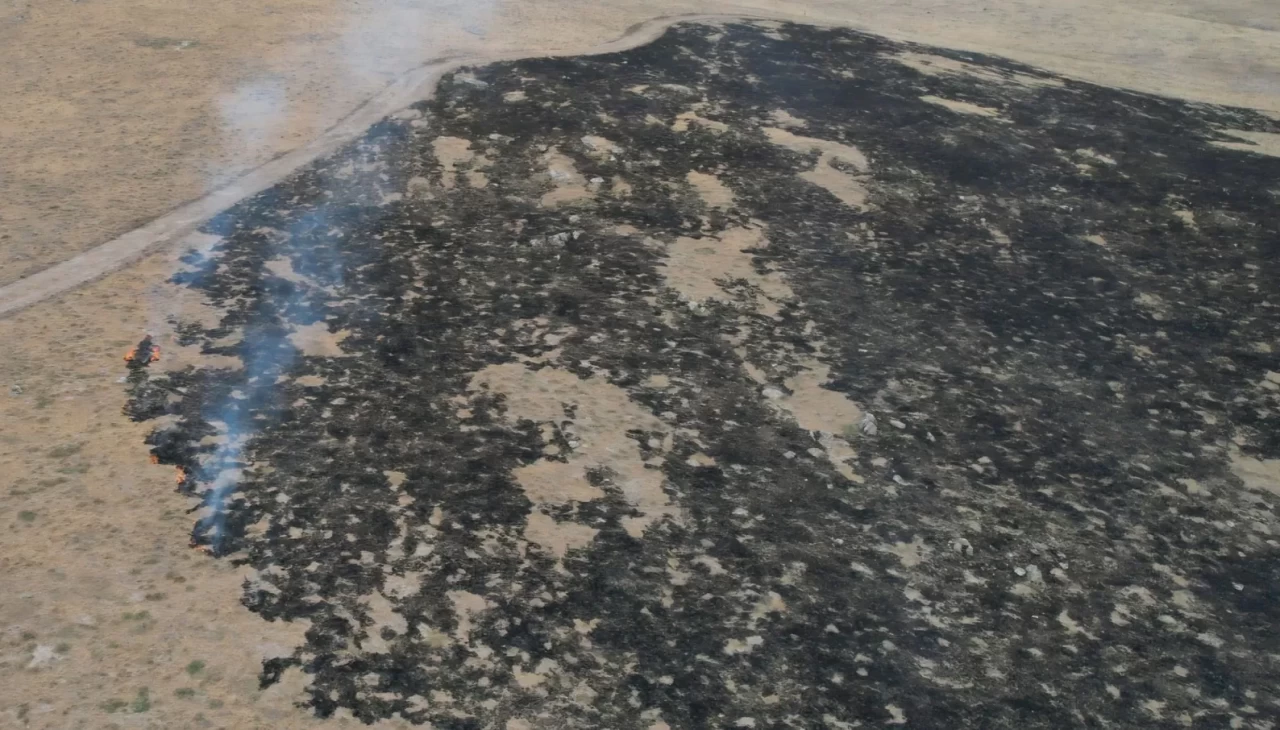 Alevler tarım arazisine metreler kala kontrol altına alındı: 250 dönüm otluk alan kül oldu