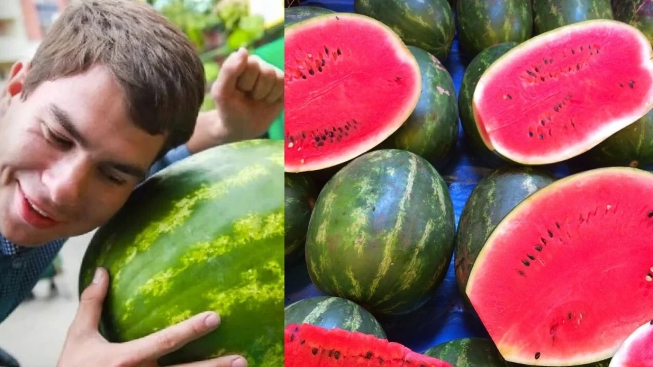 En iyi karpuzu seçmenin püf noktaları!