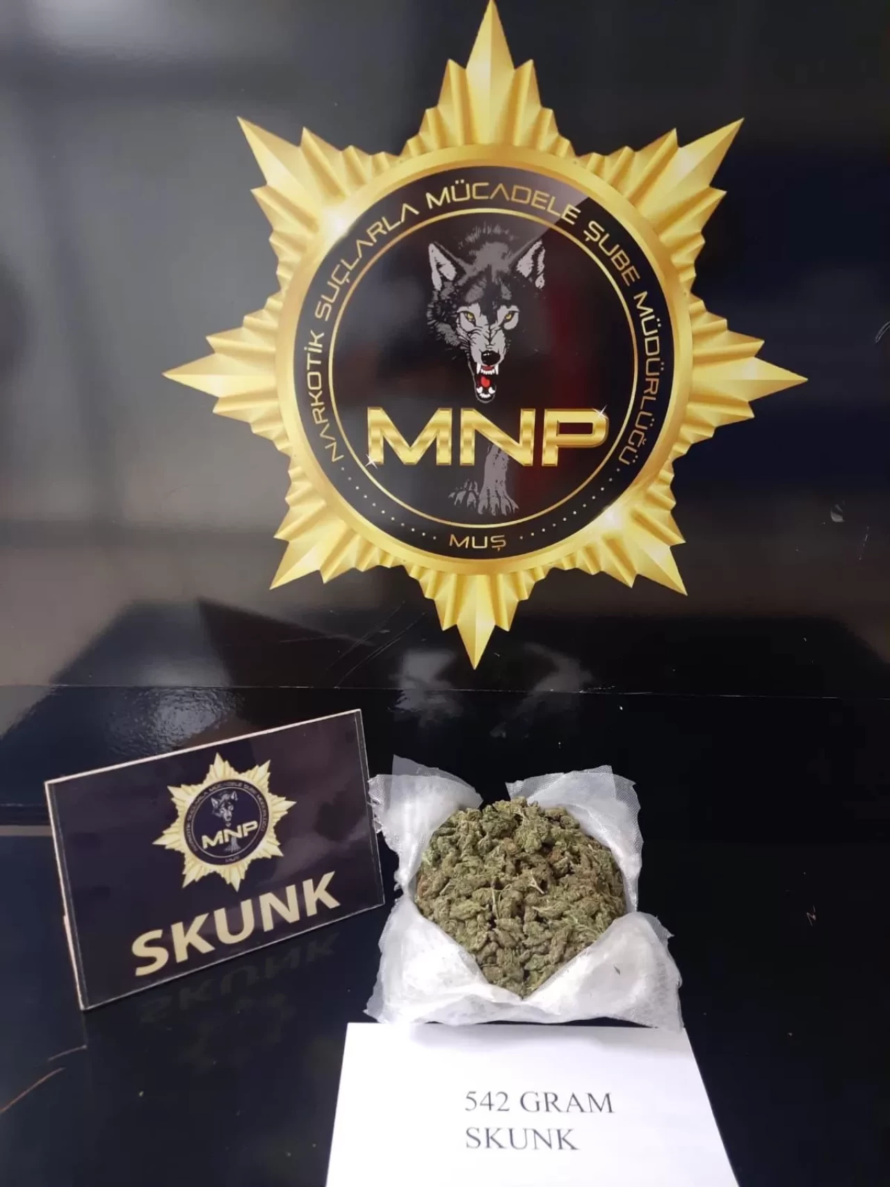 Muş'ta uyuşturucu operasyonu: 542 gram sentetik madde ele geçirildi