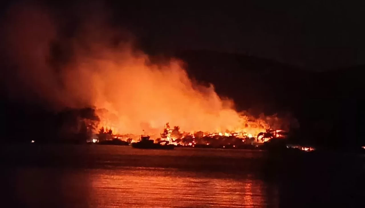 Milas'ta orman yangını!